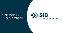 Baner promocyjny SIB